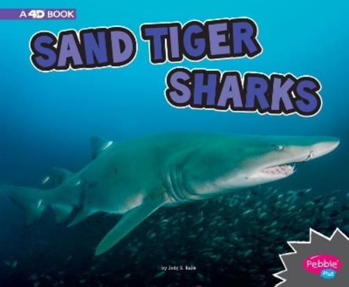 All About Sharks Sand Tiger Sharks a 4D Book