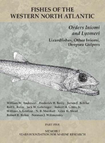Orders Iniomi and Lyomeri
