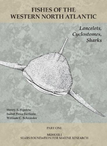 Lancelets, Cyclostomes, Sharks