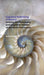 Cognitive Rethinking of Beauty