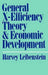 General X-Efficiency Theory and Economic Development