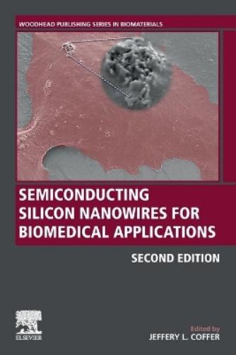 Semiconducting Silicon Nanowires for Biomedical Applications