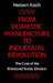 From Domestic Manufacture to Industrial Revolution
