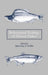 Behavioural Ecology of Teleost Fishes