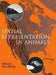 Spatial Representation in Animals
