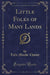 Little Folks of Many Lands (Classic Reprint)