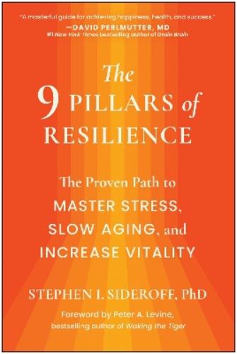 The 9 Pillars of Resilience
