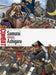Samurai vs Ashigaru