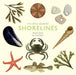 The Little Guide to Shorelines
