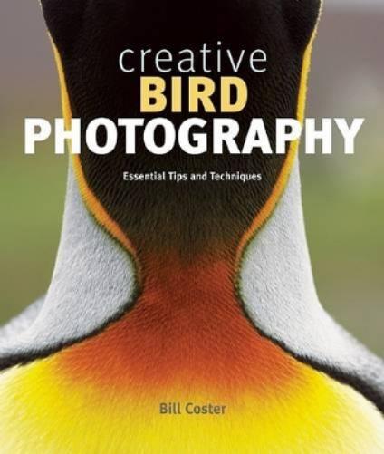 Creative Bird Photography