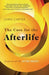 The Case for the Afterlife