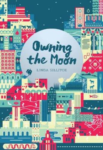 Owning the Moon