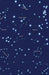 Star Chart Blank Journal