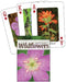 Wildflowers of the Northeast Playing Cards (Nature's Wild Cards
