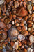 Agates Blank Journal