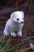Short-Tailed Weasel Blank Journal