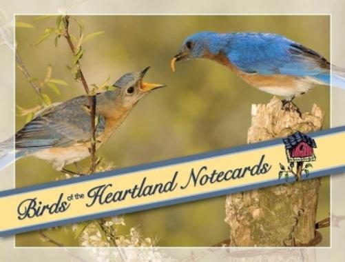 Birds of the Heartland Notecards