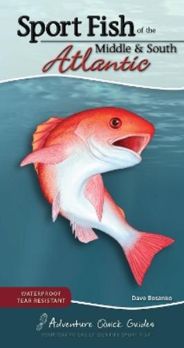 Sport Fish of the Middle & South Atlantic