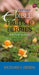 A Field Guide to Edible Fruits and Berries of the Pacific Northwest