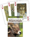 Mammals of the Rocky Mountains Playing Cards (Nature's Wild Cards