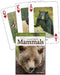 Mammals of the Northwest Playing Cards (Nature's Wild Cards