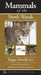 Mammals of the North Woods