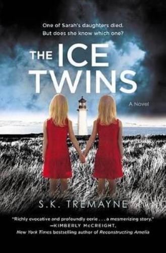 The Ice Twins