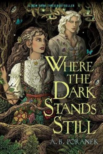 Where the Dark Stands Still