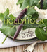 Hollyhock