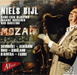 Niels Bijl: Mozaik