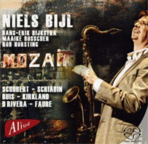 Niels Bijl: Mozaik