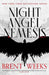 Night Angel Nemesis