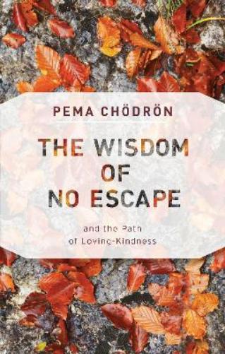 The Wisdom of No Escape