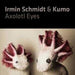Axolotl Eyes