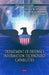 Department of Defense's Information Technology Capabilities