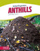 Anthills