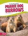 Prairie Dog Burrows