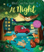 What Can You See? At Night