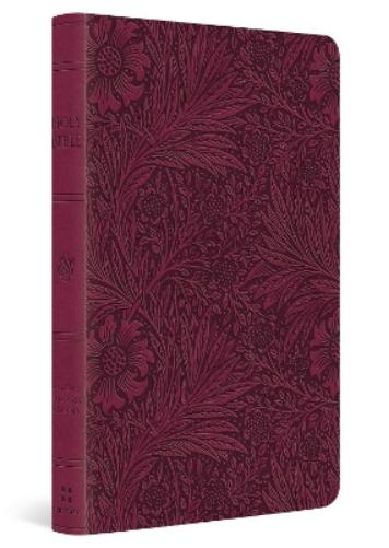 ESV Value Thinline Bible