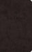 ESV Premium Church Bible (TruTone, Black