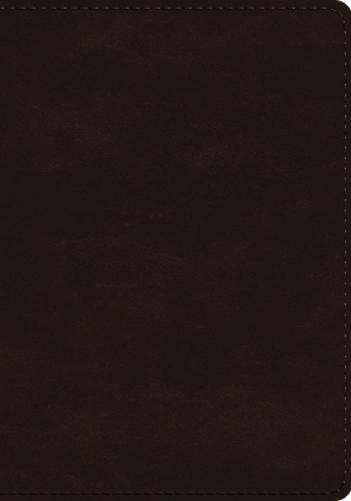 ESV Single Column Journaling Bible, Large Print