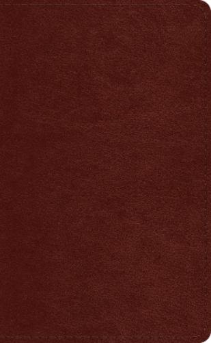 ESV Pocket Bible