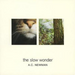 The Slow Wonder