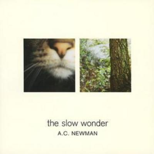 The Slow Wonder