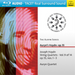 Auryn's Haydn, Op. 55