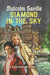 Diamond in the Sky