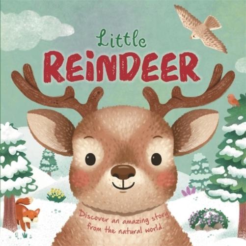 Little Reindeer