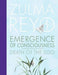 Emergence Of Consciousness