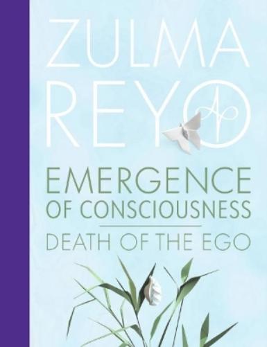 Emergence Of Consciousness
