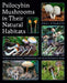 Psilocybin Mushrooms in Their Natural Habitats